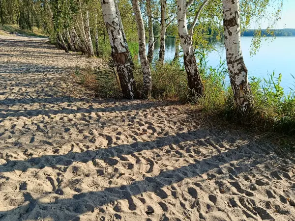 202408260-37 - Sandstrand am Bergwitzsee, Anhalt-Dessau-Wittenberg, Sachsen-Anhalt, Deutschland