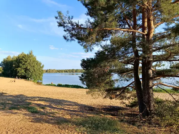 202408260-38 - Sandstrand am Bergwitzsee, Anhalt-Dessau-Wittenberg, Sachsen-Anhalt, Deutschland
