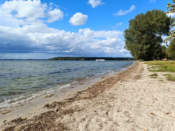 202509120-34 - Sandstrand am Plauer See bei Lenz, Mecklenburgische Seenplatte, Mecklenburg-Vorpommern, Deutschland