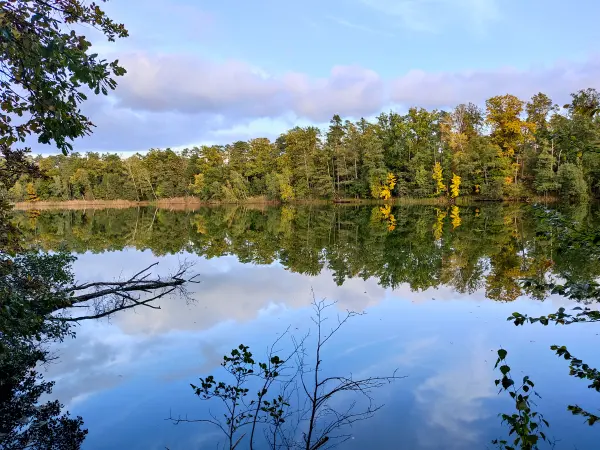 202310250-46 - Schampsee bei Kloster Lehnin, Fläming, Brandenburg, Deutschland
