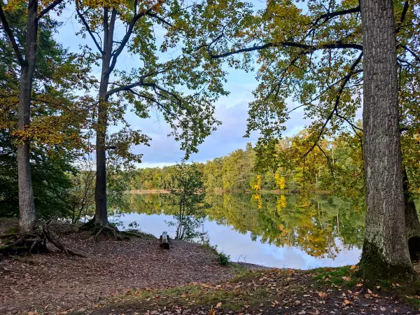 202310250-47 - Schampsee bei Kloster Lehnin, Fläming, Brandenburg, Deutschland