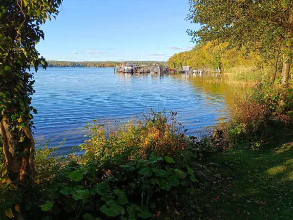 202610190-26 - Scharmützelsee am Cecilienpark in Bad Saarow, Seenland Oder-Spree, Brandenburg, Deutschland
