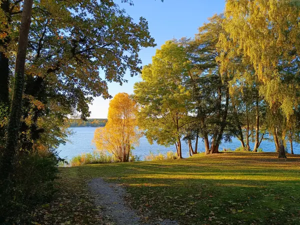 202610190-28 - Scharmützelsee am Platz am Stein in Bad Saarow, Seenland Oder-Spree, Brandenburg, Deutschland