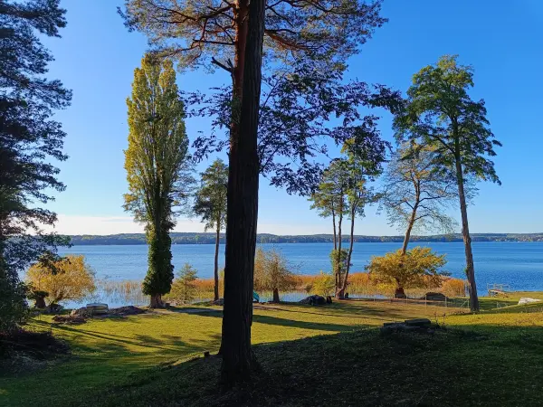 202610190-19 - Scharmützelsee bei Diensdorf, Seenland Oder-Spree, Brandenburg, Deutschland