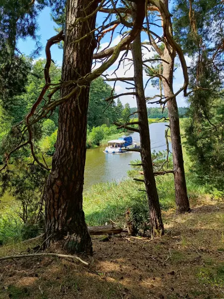 202508160-09 - Schiff auf der Havel in der Kleinen Schorfheide, Uckermark, Brandenburg, Deutschland