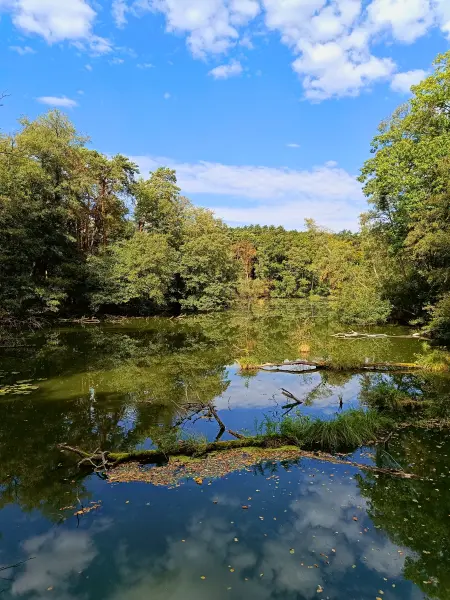 202509210-04 - Schinkensee im Schlaubetal, Seenland Oder-Spree, Brandenburg, Deutschland