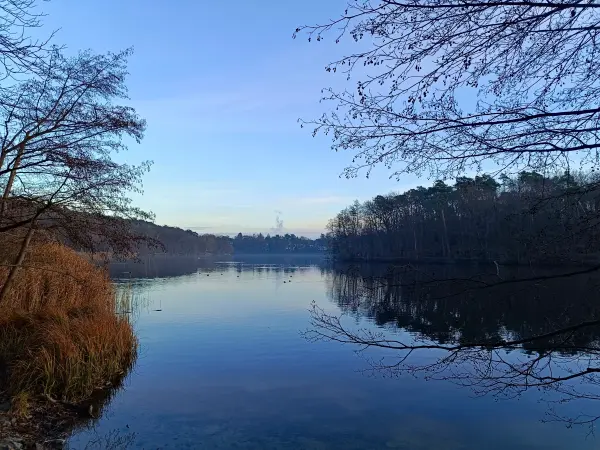 202512200-03 - Schlachtensee, Berlin, Deutschland