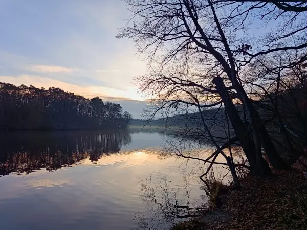 202512200-04 - Schlachtensee, Berlin, Deutschland