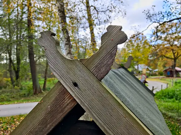 202311040-24 - Schlangenkönige auf einem Dach in Leipe, Spreewald, Brandenburg, Deutschland