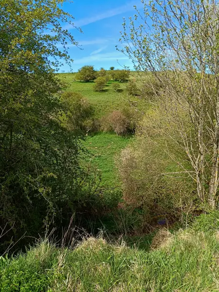 202604270-27 - Schleifbachtal bei Nettersheim, Eifel, Nordrhein-Westfalen, Deutschland