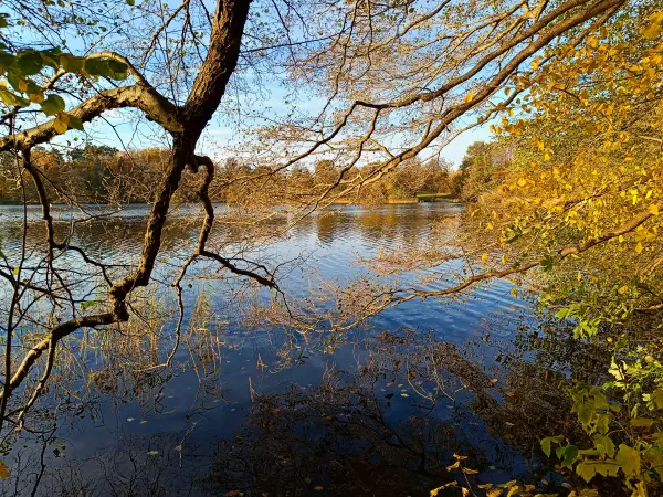 202511040-24 - Schlesersee bei Carpin, Mecklenburgische Seenplatte, Mecklenburg-Vorpommern, Deutschland
