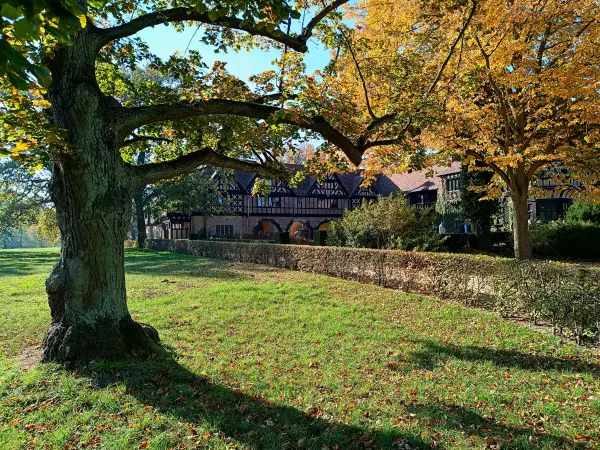 202410260-40 - Schloss Cecilienhof im Neuen Garten, Potsdam, Brandenburg, Deutschland