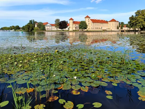 202508110-20 - Schloss Rheinsberg, Ruppiner Seenland, Brandenburg, Deutschland