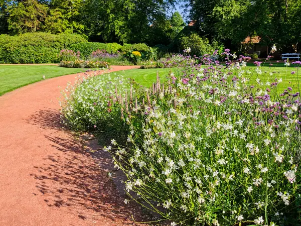 202308160-33 - Schlossgarten Oldenburg, Oldenburger Land, Niedersachsen, Deutschland