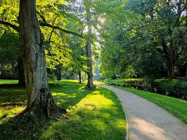 202308181-30 - Schlosspark Celle, Lüneburger Heide, Niedersachsen, Deutschland