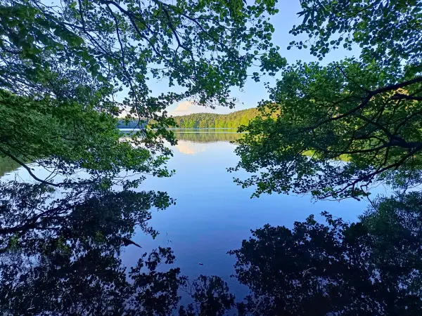 202606090-38 - Schmaler Luzin bei Carwitz, Mecklenburgische Seenplatte, Mecklenburg-Vorpommern, Deutschland