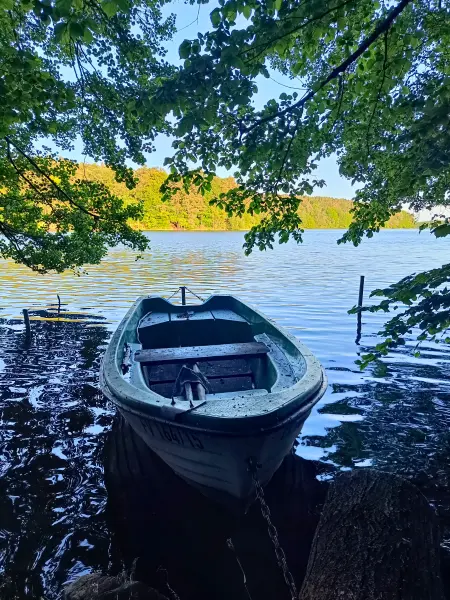 202606090-43 - Schmaler Luzin bei Carwitz, Mecklenburgische Seenplatte, Mecklenburg-Vorpommern, Deutschland