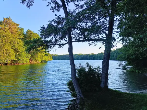202606090-44 - Schmaler Luzin bei Feldberg, Mecklenburgische Seenplatte, Mecklenburg-Vorpommern, Deutschland
