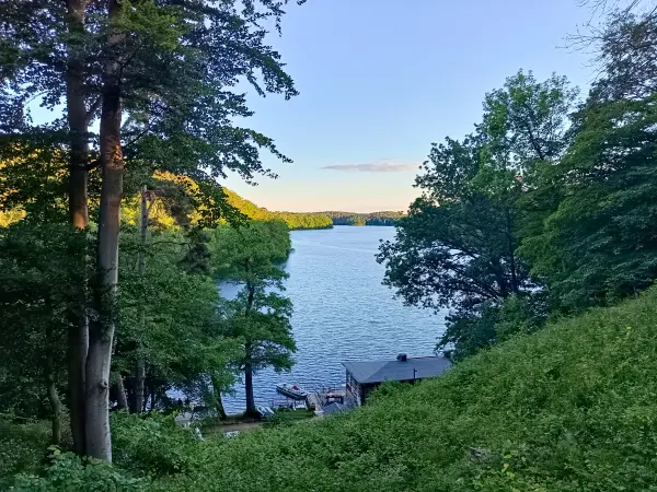 202606090-49 - Schmaler Luzin bei Feldberg, Mecklenburgische Seenplatte, Mecklenburg-Vorpommern, Deutschland