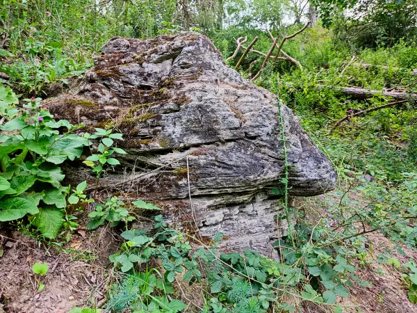 202308050-07 - Schollenstein bei Grubo, Fläming, Brandenburg, Deutschland