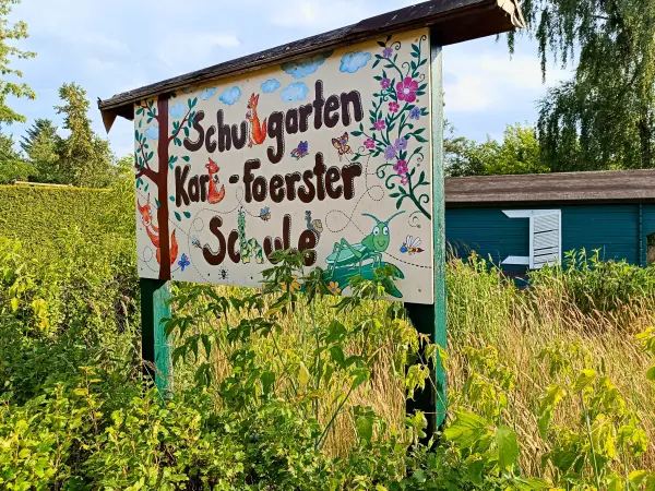 202506250-09 - Schulgarten der Karl-Foerster-Schule, Potsdam, Brandenburg, Deutschland