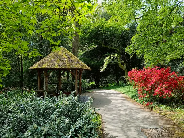 202604280-07 - Schutzhütte im Rombergpark in Dortmund, Ruhrgebiet, Nordrhein-Westfalen, Deutschland