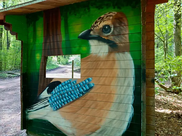 202604210-13 - Schutzhütte mit Eichelhäher im Stadtwald Hagen, Ruhrgebiet, Nordrhein-Westfalen, Deutschland
