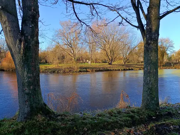 202511210-21 - Schwanenteich im August-Bebel-Park in Stendal, Altmark, Sachsen-Anhalt, Deutschland
