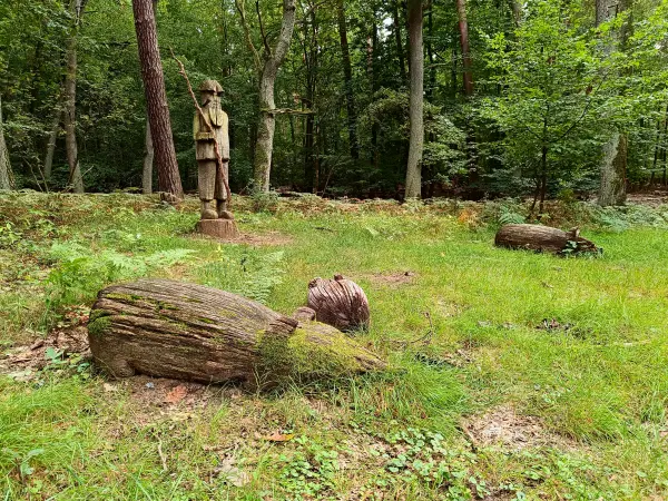 202508300-29 - Schweinehirte im Spandauer Forst, Berlin, Deutschland