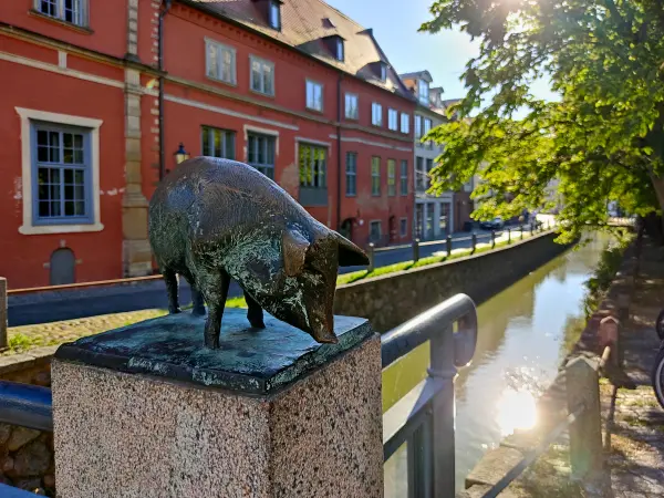 202309060-41 - Schweinskulptur am Mühlenbach in Wismar, Mecklenburgische Ostseeküste, Mecklenburg-Vorpommern, Deutschland