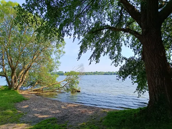202506170-29 - Schweriner Außensee bei Gallentin, Mecklenburgische Seenplatte, Mecklenburg-Vorpommern, Deutschland