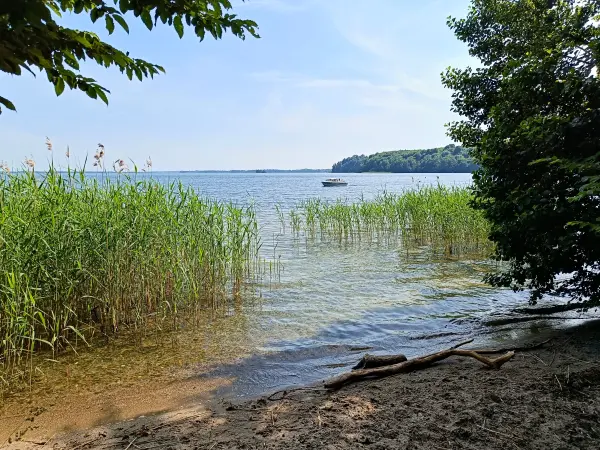 202506170-31 - Schweriner Außensee bei Gallentin, Mecklenburgische Seenplatte, Mecklenburg-Vorpommern, Deutschland