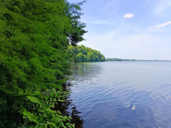 202506170-39 - Schweriner Außensee bei Gallentin, Mecklenburgische Seenplatte, Mecklenburg-Vorpommern, Deutschland