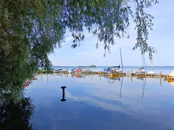 202506170-45 - Schweriner Außensee bei Lübstorf, Mecklenburgische Seenplatte, Mecklenburg-Vorpommern, Deutschland