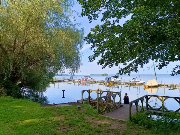 202506170-46 - Schweriner Außensee bei Lübstorf, Mecklenburgische Seenplatte, Mecklenburg-Vorpommern, Deutschland