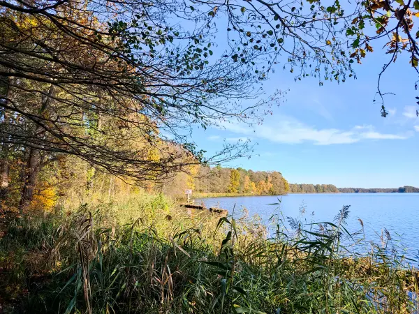 202311130-21 - Seddinsee bei Müggelheim, Berlin, Deutschland