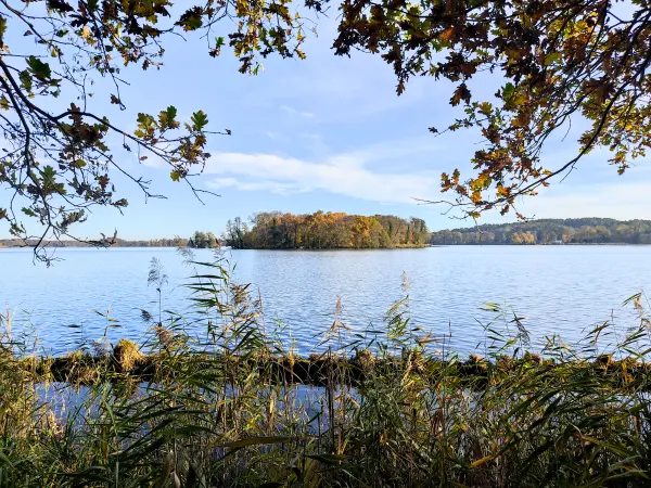 202311130-22 - Seddinsee bei Müggelheim, Berlin, Deutschland