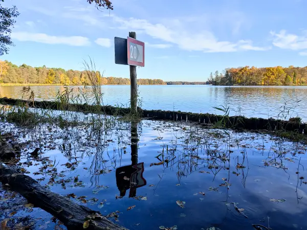 202311130-24 - Seddinsee bei Müggelheim, Berlin, Deutschland