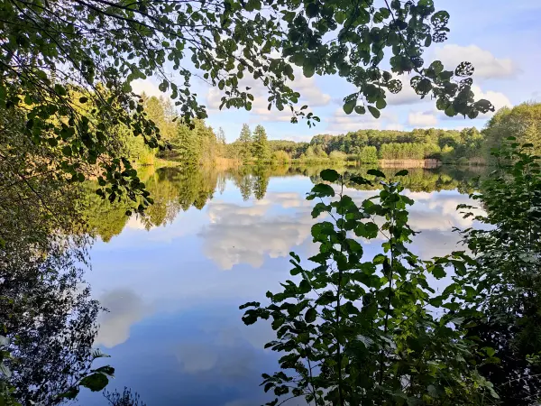 202310250-30 - See bei Emstal, Fläming, Brandenburg, Deutschland