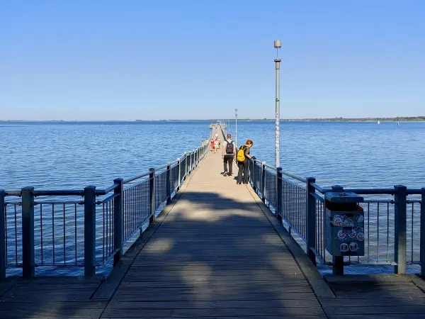 202309060-23 - Seebrücke an der Wismarer Bucht bei Wendorf, Mecklenburgische Ostseeküste, Mecklenburg-Vorpommern, Deutschland
