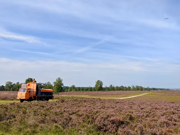 202308190-25 - Segelflugplatz in der Fischbeker Heide, Hamburg, Deutschland