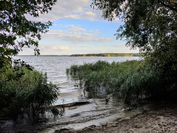 202309150-35 - Senftenberger See bei Brieske, Lausitz, Brandenburg, Deutschland