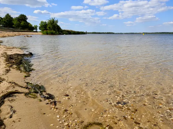 202309150-15 - Senftenberger See bei Großkoschen, Lausitz, Brandenburg, Deutschland
