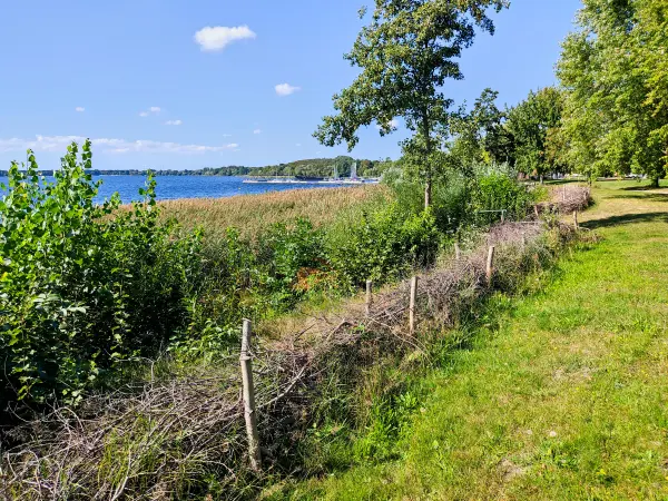 202309150-07 - Senftenberger See bei Senftenberg, Lausitz, Brandenburg, Deutschland