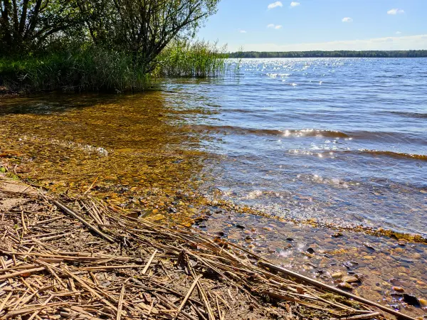202309150-08 - Senftenberger See bei Senftenberg, Lausitz, Brandenburg, Deutschland