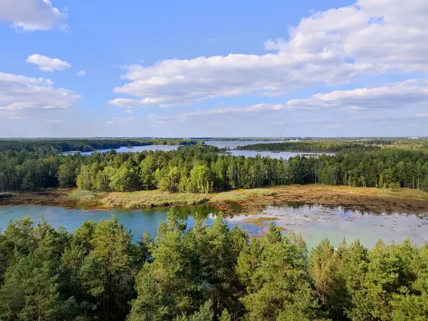 202309150-19 - Senftenberger See zwischen Großkoschen und Niemtsch, Lausitz, Brandenburg, Deutschland