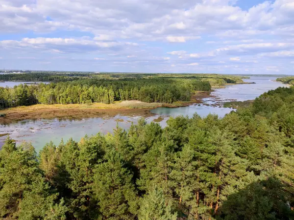 202309150-20 - Senftenberger See zwischen Großkoschen und Niemtsch, Lausitz, Brandenburg, Deutschland