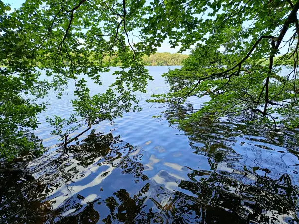 202506110-03 - Sidowsee bei Himmelpfort, Ruppiner Seenland, Brandenburg, Deutschland