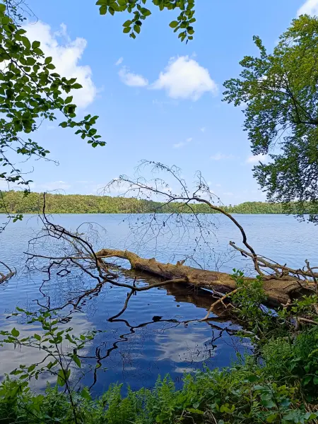 202506110-04 - Sidowsee bei Himmelpfort, Ruppiner Seenland, Brandenburg, Deutschland