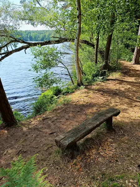 202506110-09 - Sidowsee bei Himmelpfort, Ruppiner Seenland, Brandenburg, Deutschland